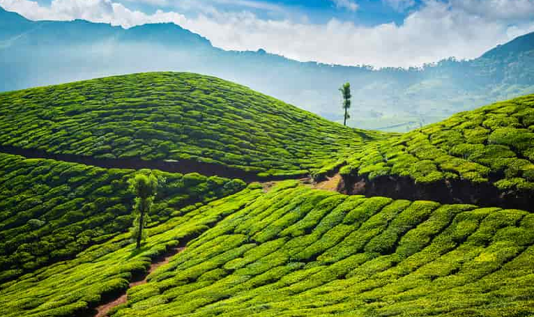 India Tour Packages | Golden Triangle Tour India